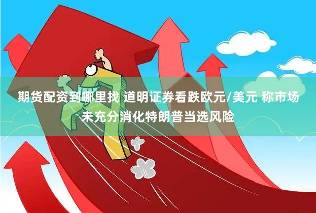 期货配资到哪里找 道明证券看跌欧元/美元 称市场未充分消化特朗普当选风险
