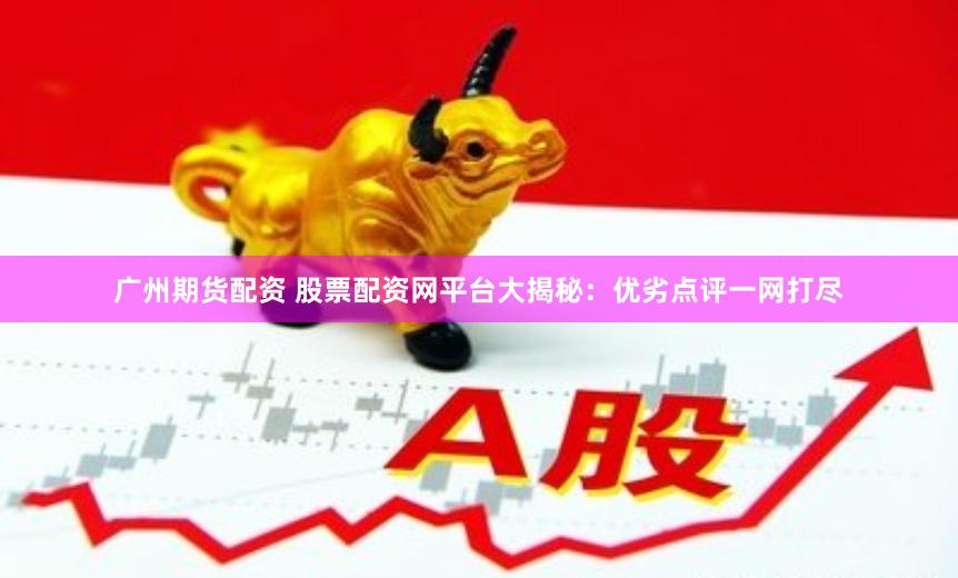 广州期货配资 股票配资网平台大揭秘：优劣点评一网打尽
