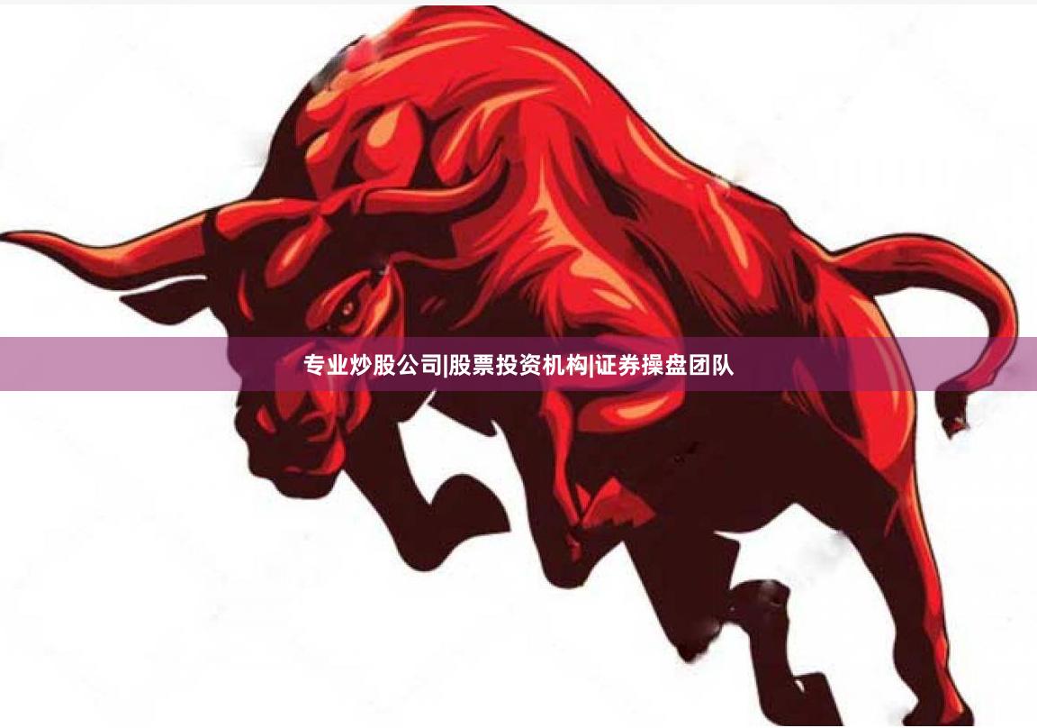 专业炒股公司|股票投资机构|证券操盘团队