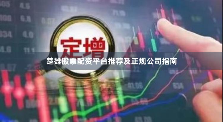 楚雄股票配资平台推荐及正规公司指南